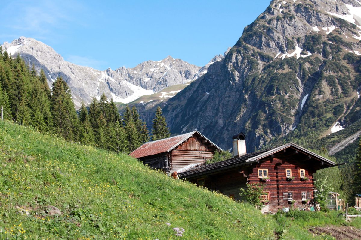 Wildental im Kleinwalsertal 